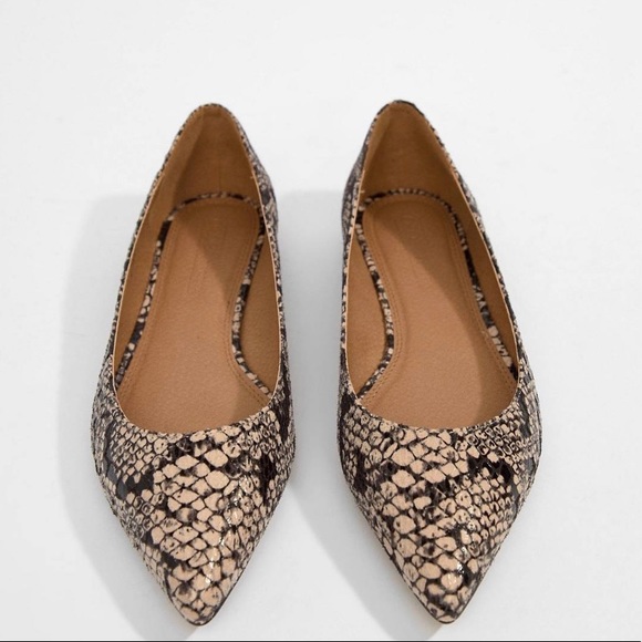 Latch Pointed Ballet Flats in snake - Picture 2 of 2